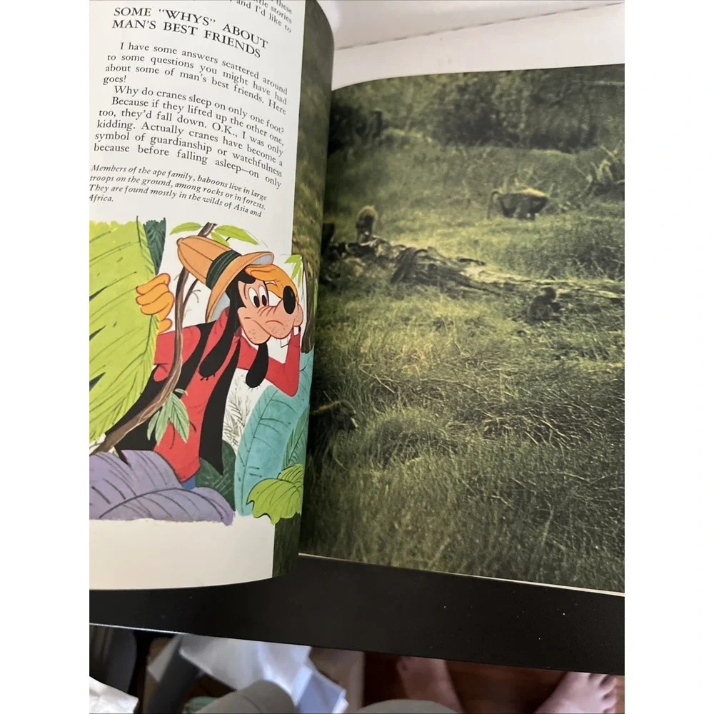 Disney's Wonderful World of Knowledge, Vol 12; c 1971